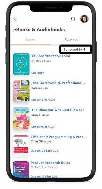 A screenshot from the app, showing the details in the 'eBook Loans' page.